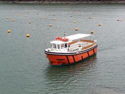05_IMG_20250313_105246.jpg