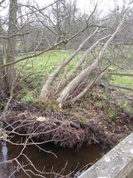 09_IMG_20250329_123614.jpg